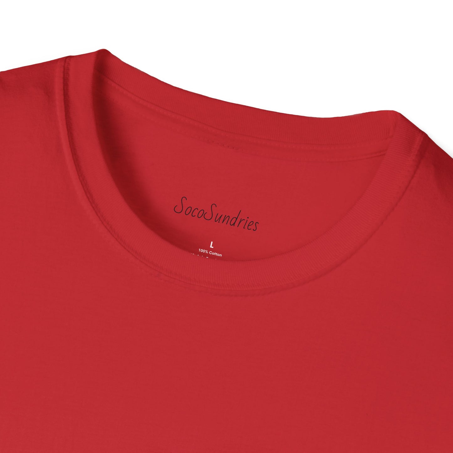Empowerment T-Shirt, Unisex Softstyle Tee, Sex Educator Gift, Body Positivity Apparel, Feminist Fashion Top, Bold Graphic Tee